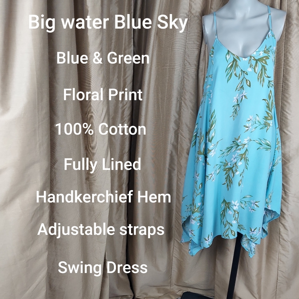 Big Water Blue Sky dress floral cotton swing dress size L